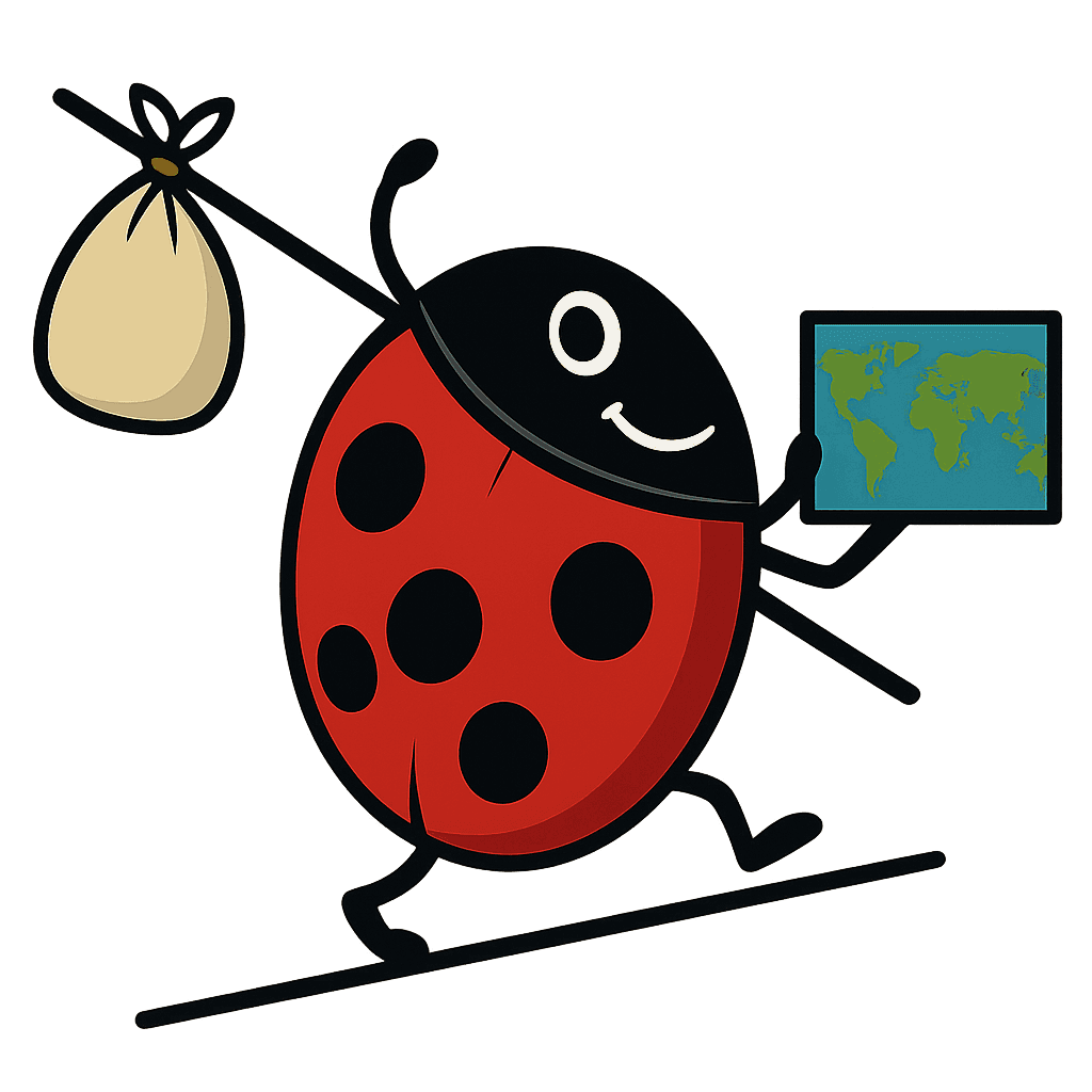 VoyagerBug